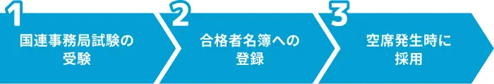 YPP（若手専門職採用試験）のイメージ